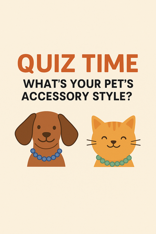 Quiz Time: What’s your pets accessory style?!