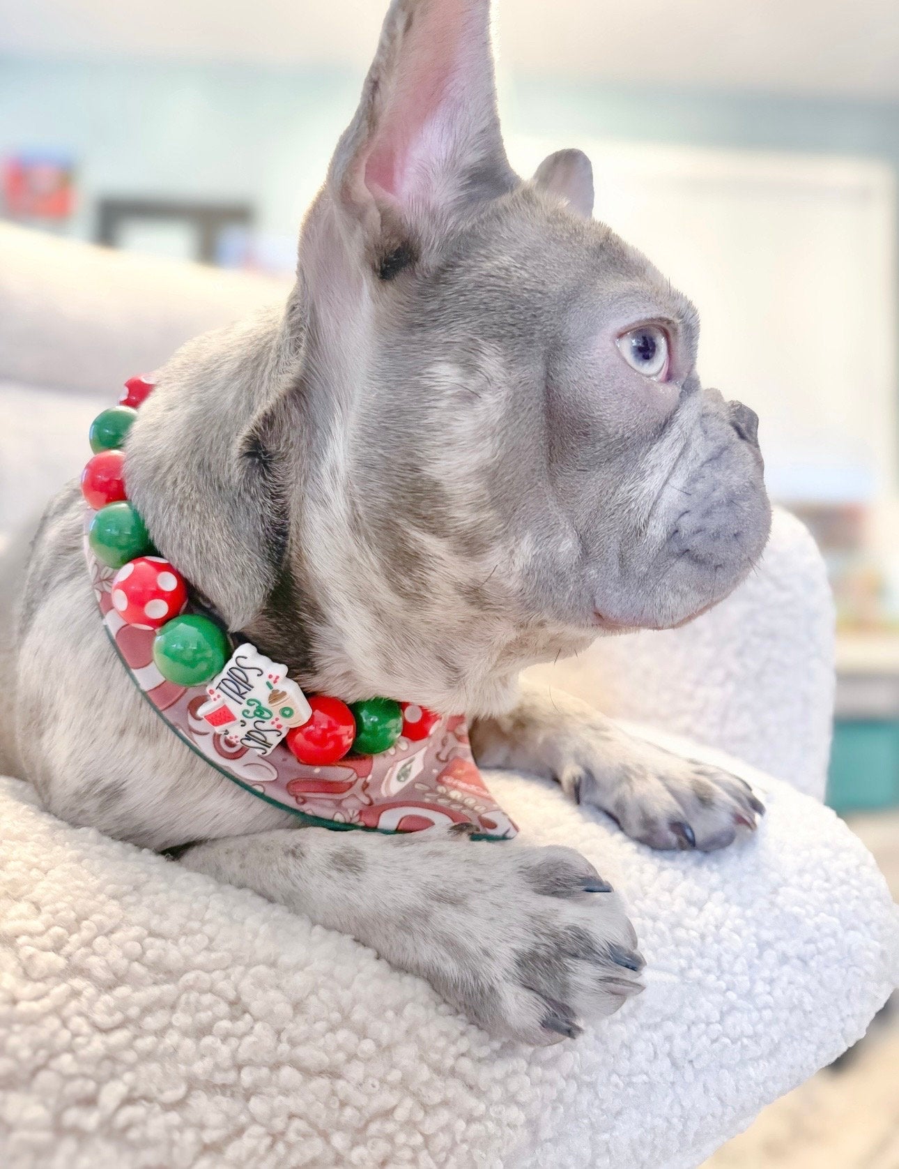 Tarjay’* Target and Starbucks Coffee Shopping Trip Red, Green & White Custom Beaded Dog/Cat Jewelry Necklace!