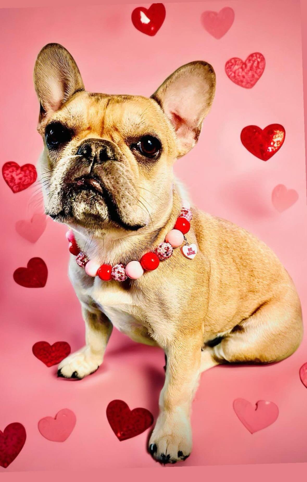 Hugs & Kisses* Pink and Red Sparkle Valentine&#39;s Custom Beaded Dog/Cat Collar Necklace!