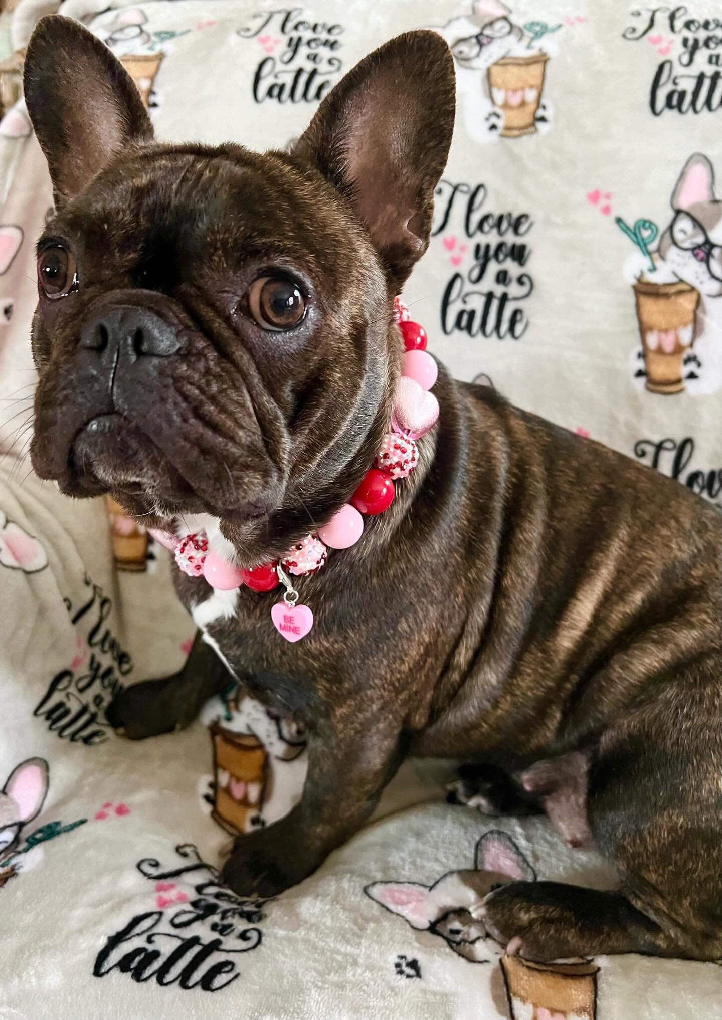 Hugs & Kisses* Pink and Red Sparkle Valentine&#39;s Custom Beaded Dog/Cat Collar Necklace!