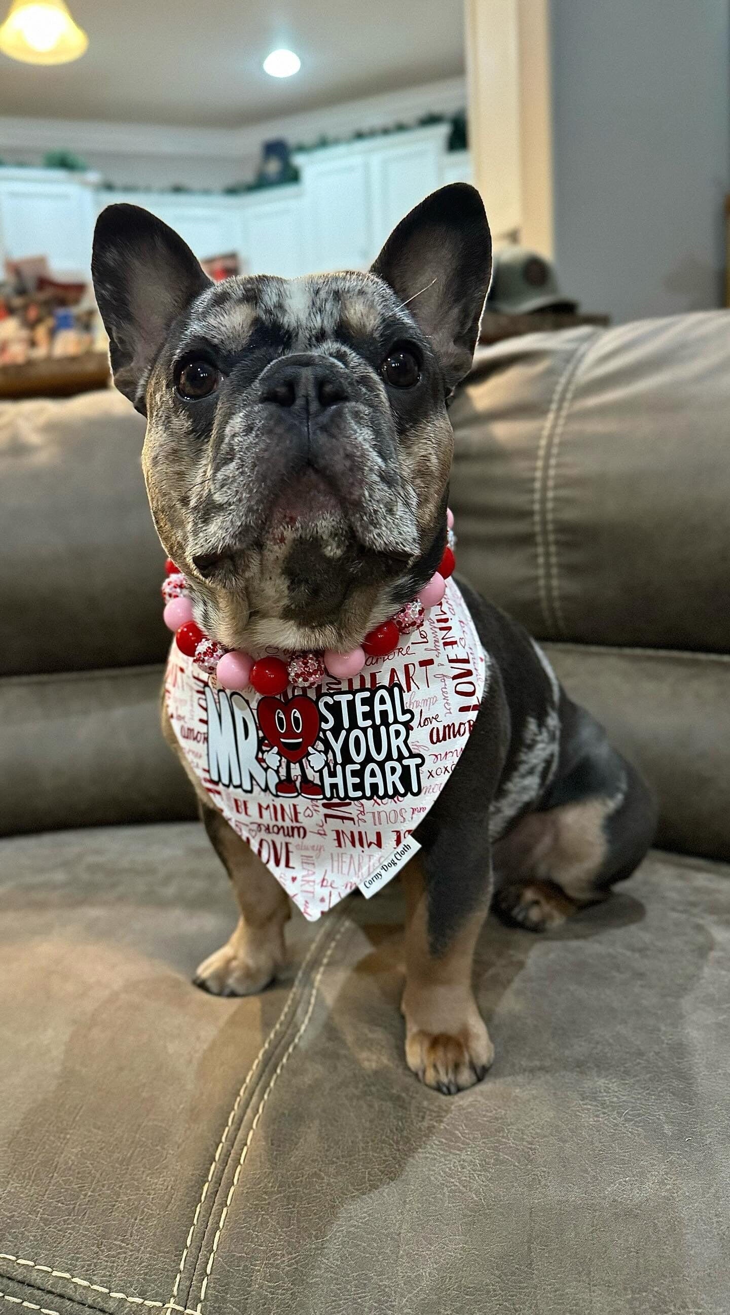 Hugs & Kisses* Pink and Red Sparkle Valentine&#39;s Custom Beaded Dog/Cat Collar Necklace!