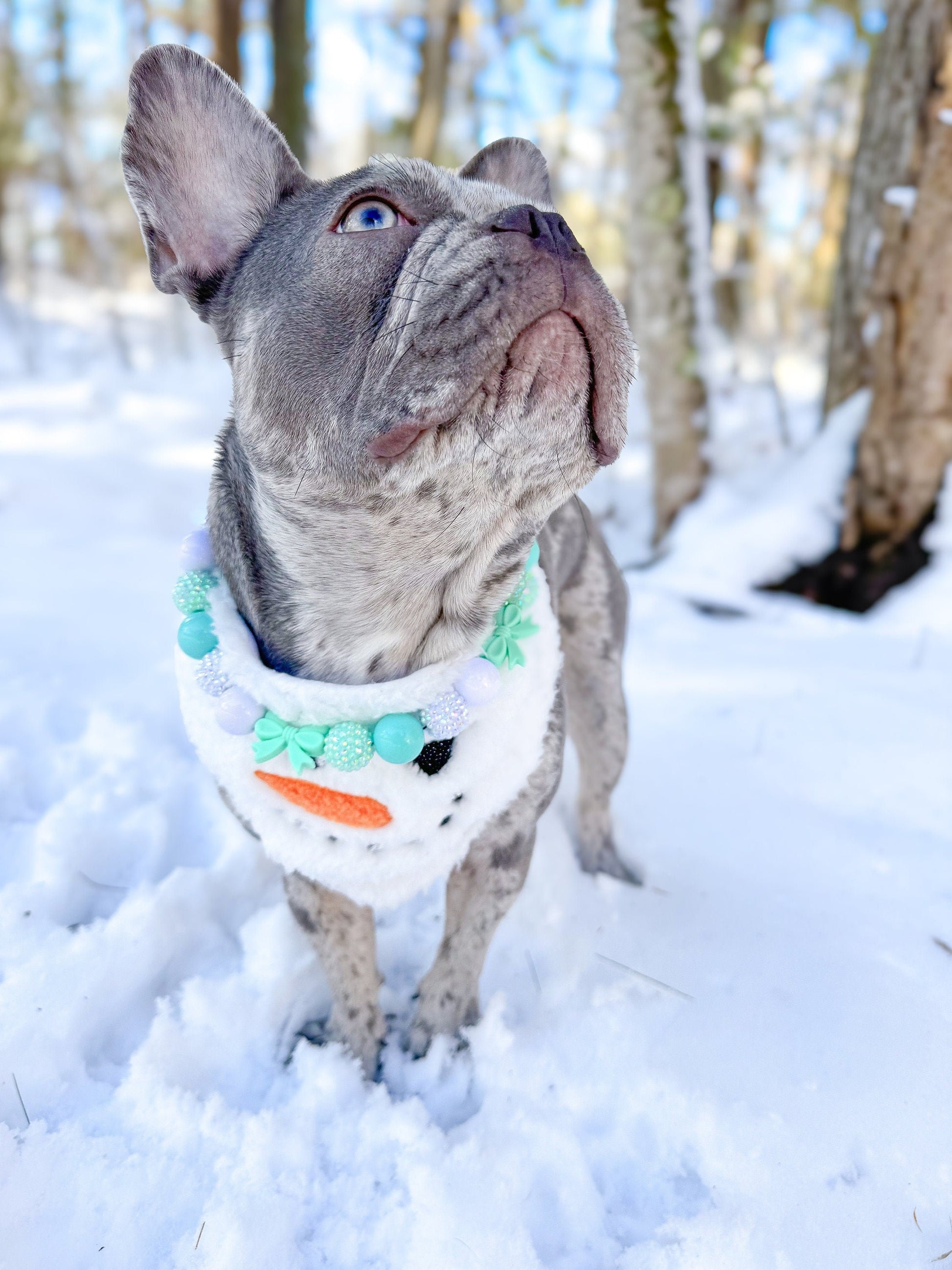 Breakfast at Sniffany&#39;s* Teal & White Luxury Sparkle Valentine&#39;s Day Bow Custom Beaded Dog/Cat Collar Necklace!