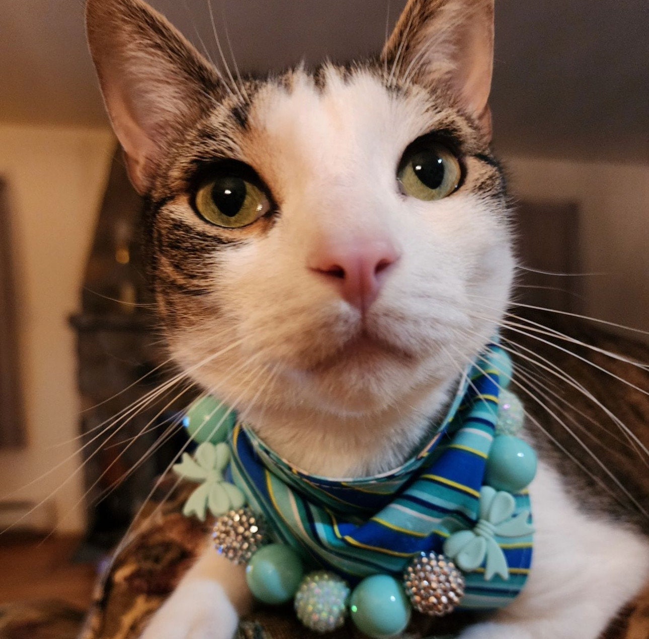 Breakfast at Sniffany&#39;s* Teal & White Luxury Sparkle Valentine&#39;s Day Bow Custom Beaded Dog/Cat Collar Necklace!