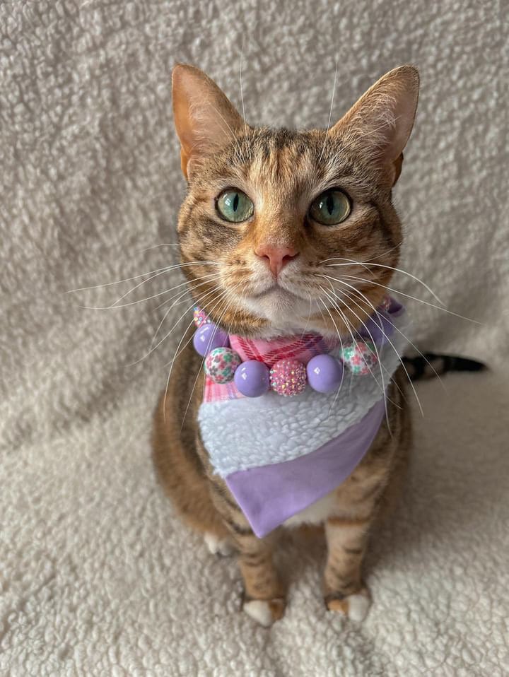 Spring in Bloom* Purple & Pink Sparkle Flower Spring/Easter Custom Beaded Dog/Cat Collar Necklace!