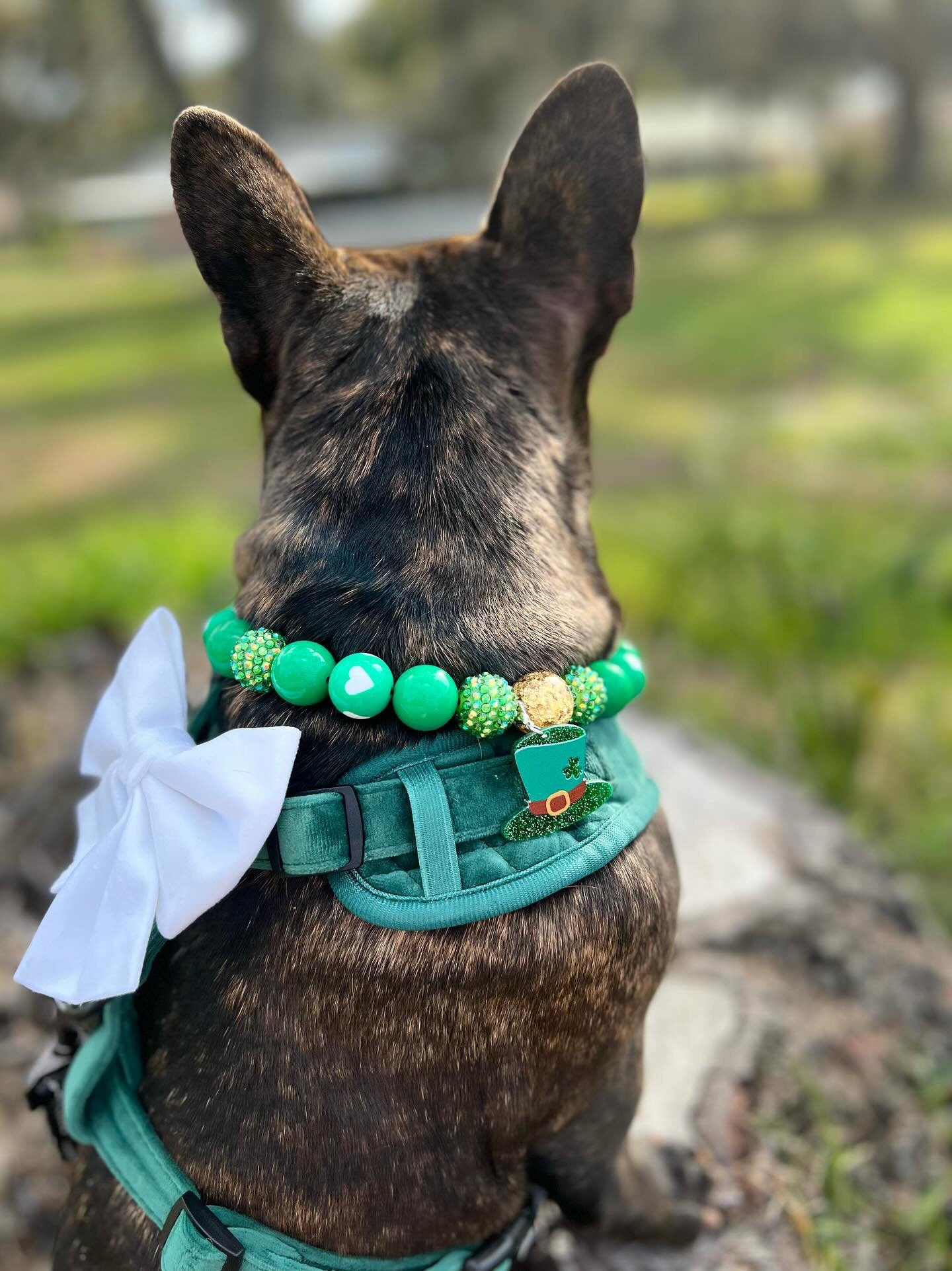 Heart of Gold* Green & Gold Sparkle St. Patrick’s Day Spring Custom Beaded Dog/Cat Collar Necklace!