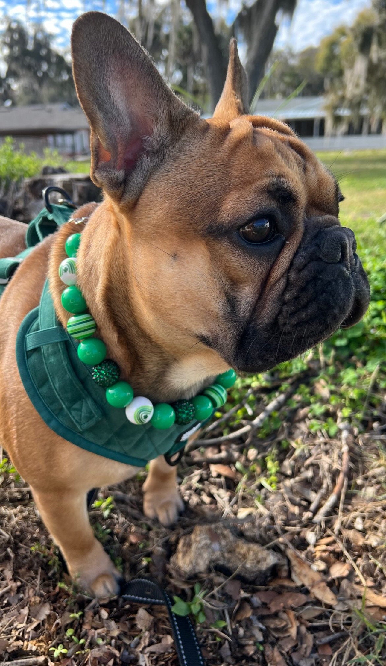 Lucky Charms* Green & White Sparkle Rainbow St.Patricks Day Custom Beaded Dog/Cat Collar Necklace!