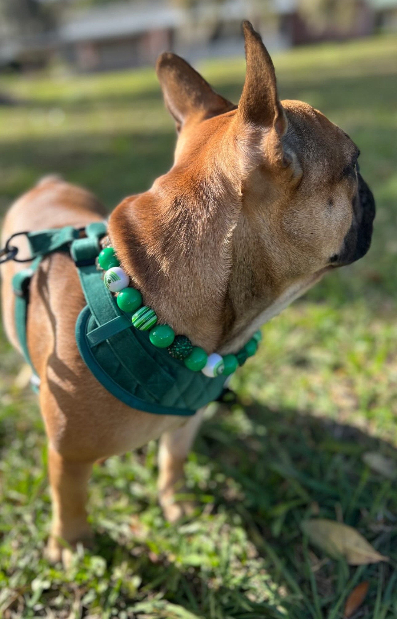 Lucky Charms* Green & White Sparkle Rainbow St.Patricks Day Custom Beaded Dog/Cat Collar Necklace!