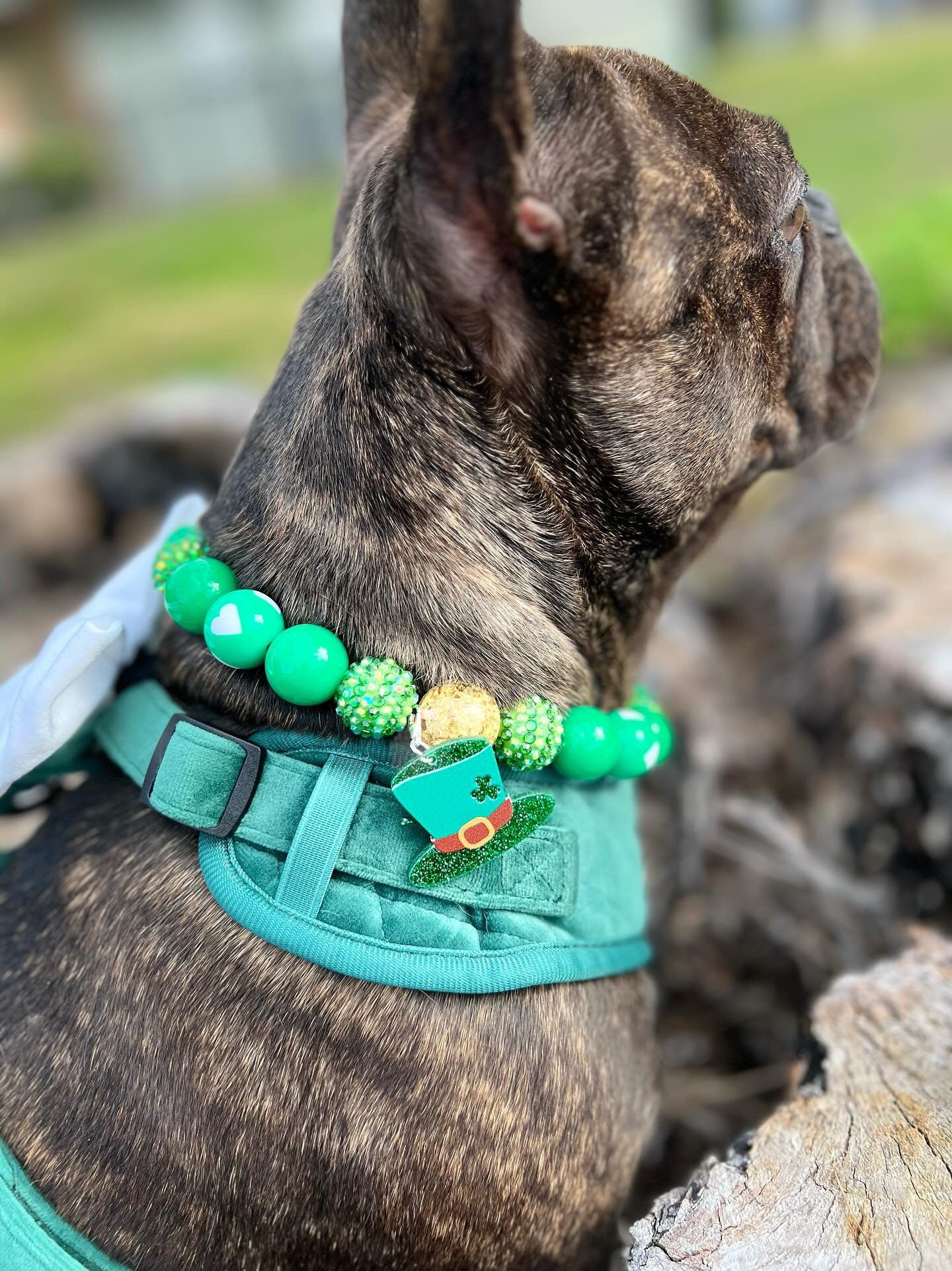 Heart of Gold* Green & Gold Sparkle St. Patrick’s Day Spring Custom Beaded Dog/Cat Collar Necklace!