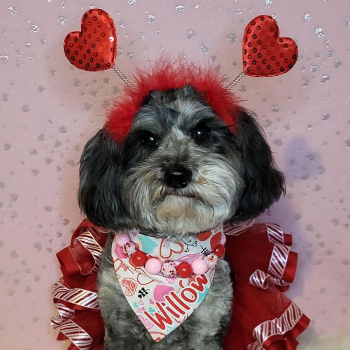 Hugs & Kisses* Pink and Red Sparkle Valentine's Custom Beaded Dog/Cat Collar Necklace!