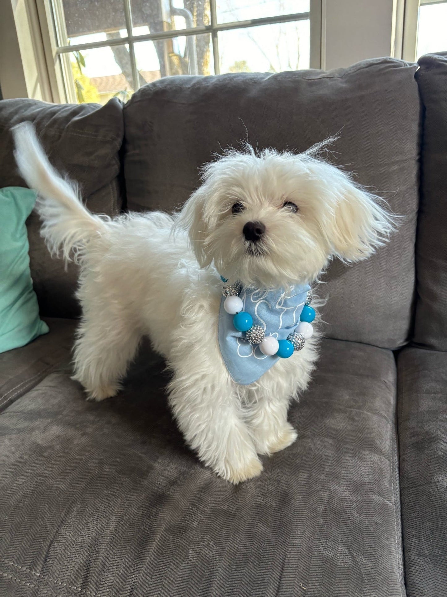 Bestie Boo* Blue & White Silver Sparkle Valentine's Day Custom Beaded Dog/Cat Collar Necklace!