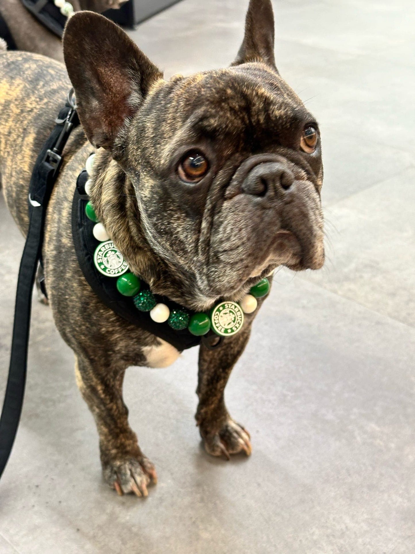 Starbies Date* Green Sparkle Donut/Coffee Custom Beaded Dog/Cat Collar Necklace!