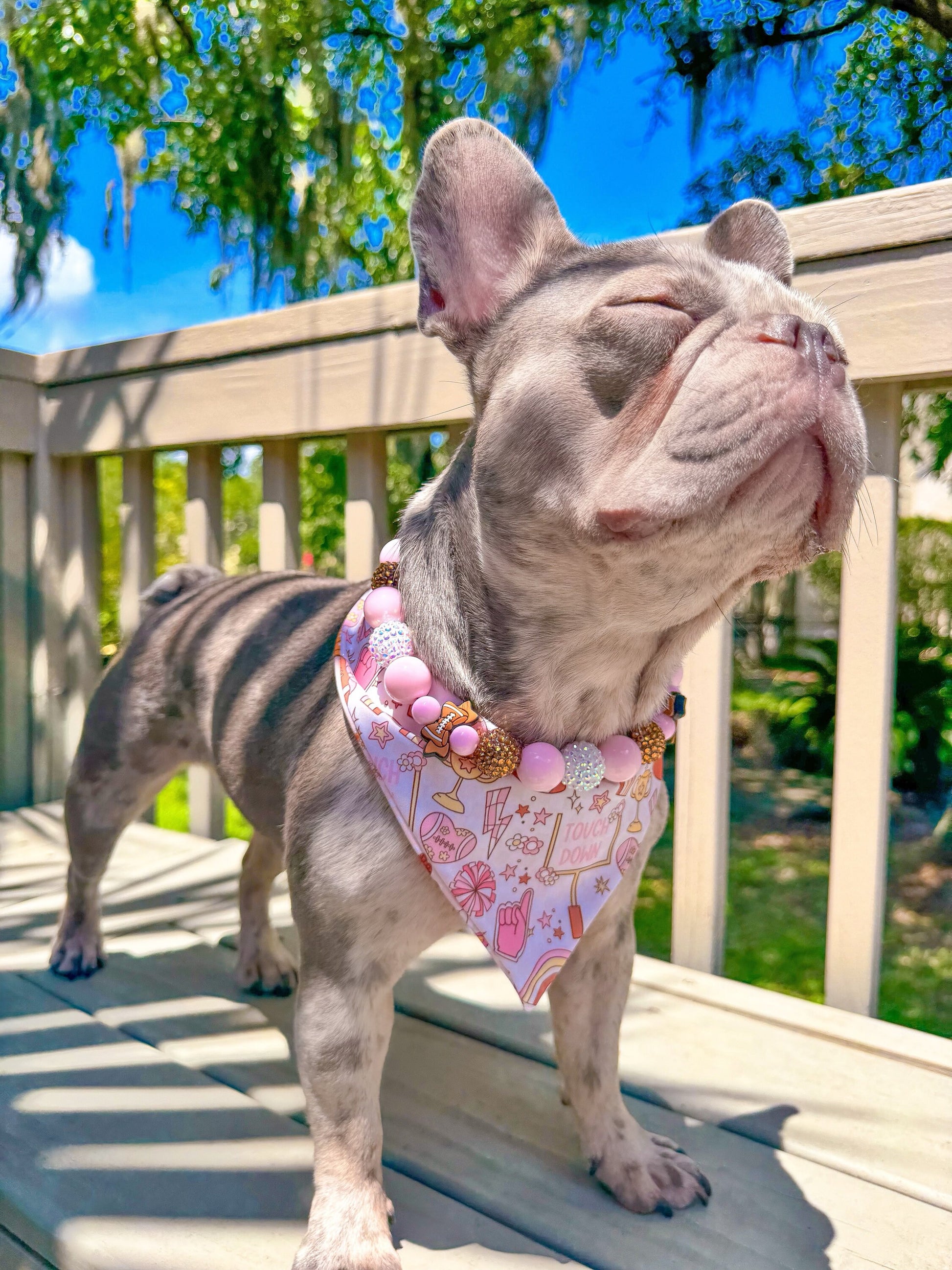 Bows & Goals* Pink, Brown and White Sparkle Football Custom Beaded Dog/Cat Necklace!